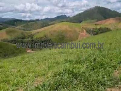 Fazenda para Venda, em Andrelndia, bairro 