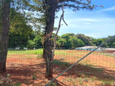 Terreno para Venda, em Iju, bairro Osvaldo Aranha