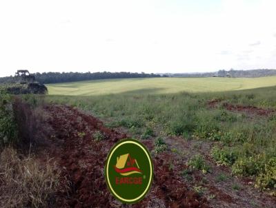 Fazenda para Venda, em Londrina, bairro 2.350 h de agricultura