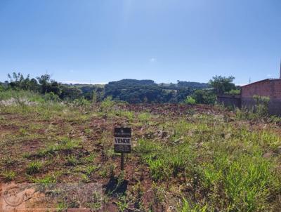 Terreno para Venda, em Pato Branco, bairro So Vicente