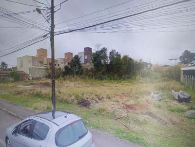 Terreno para Locação, em Campina Grande do Sul, bairro JARDIM PAULISTA