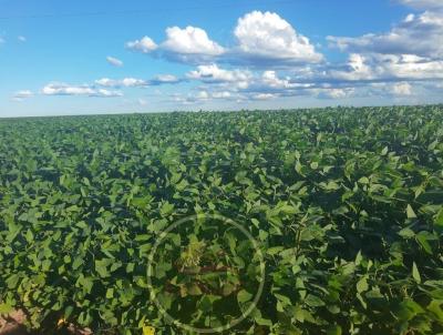 Fazenda para Venda, em Jussara, bairro .