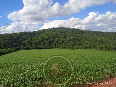 Fazenda para Venda, em Tibagi, bairro .