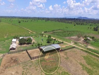 Fazenda para Venda, em , bairro 60 km de Boa Vista