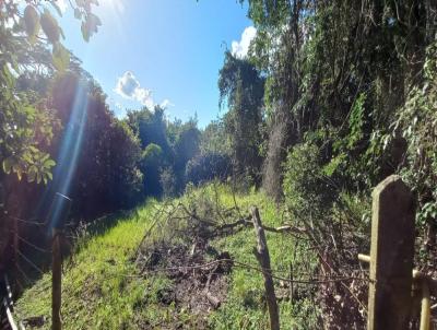 Terreno para Venda, em So Pedro, bairro Alpes das guas