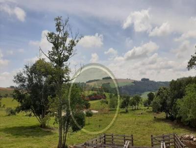 Chcara para Venda, em Reserva, bairro .