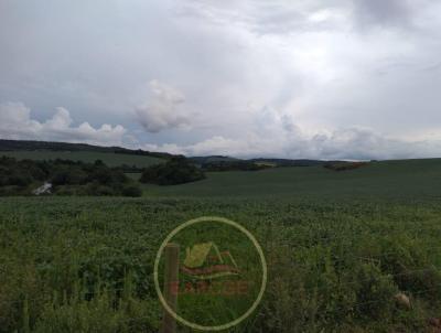 Fazenda para Venda, em Palmas, bairro .