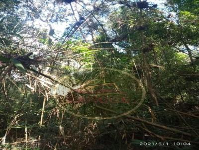 Chcara para Venda, em Ipiranga, bairro Avencal