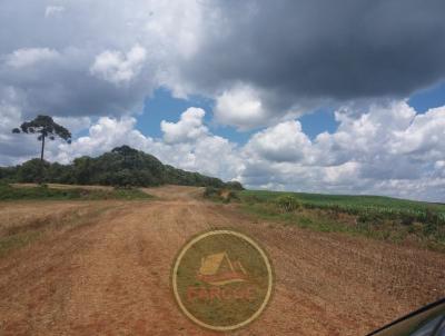 Fazenda para Venda, em Mangueirinha, bairro .