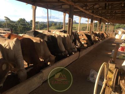 Fazenda para Venda, em Tibagi, bairro .