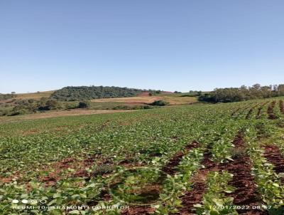 Fazenda para Venda, em Chopinzinho, bairro .