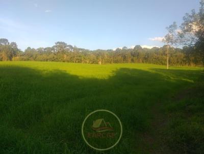 Chcara para Venda, em Imbituva, bairro CAMPINA- IMBITUVA PR