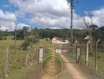 Chcara para Venda, em Ipiranga, bairro 10,6 hectares de rea total.