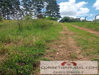 Terreno para Venda, em Piedade, bairro PIRAPORINHA