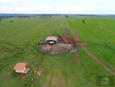 Fazenda para Venda, em Cassilndia, bairro (Fazendinha)