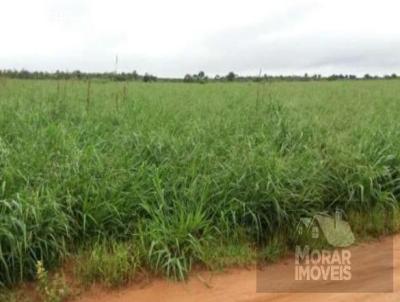 Fazenda para Venda, em Goiatins, bairro Tocantins