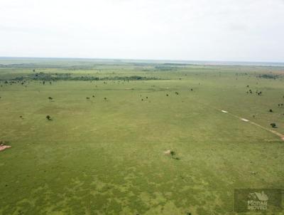 Fazenda para Venda, em So Jos do Xingu, bairro (Fazendinha)