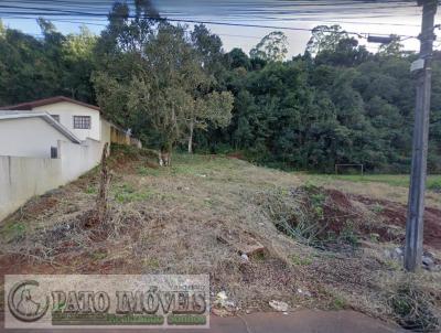 Terreno para Venda, em Pato Branco, bairro Industrial