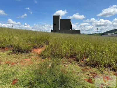 Lote para Venda, em Pouso Alegre, bairro ASTRIAS