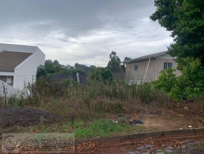 Terreno para Venda, em Pato Branco, bairro Fraron