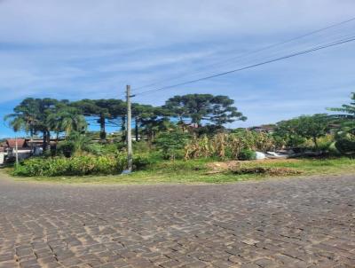 Terreno para Venda, em Antônio Prado, bairro Centro