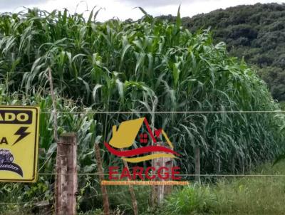 Fazenda para Venda, em Pitanga, bairro Proximo ao Municipio de Pitanga, PR