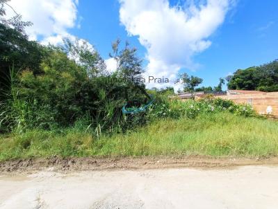 Terreno para Venda, em Caraguatatuba, bairro Massaguau