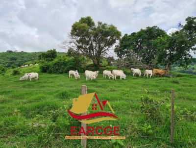 Fazenda para Venda, em Cascavel, bairro .