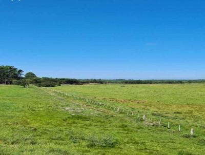 rea Rural para Venda, em Camaqu, bairro Monte Castelo