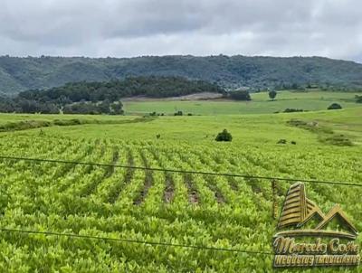 Fazenda para Venda, em , bairro Gois