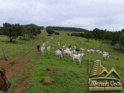 Fazenda para Venda, em , bairro Mato Grosso