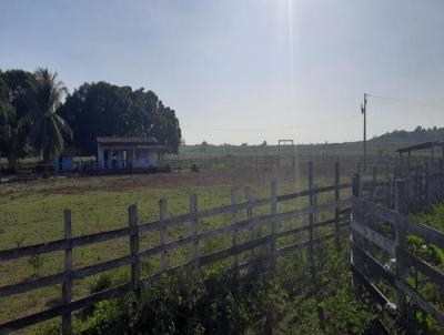 Fazenda para Venda, em Alenquer, bairro ZONA RURAL