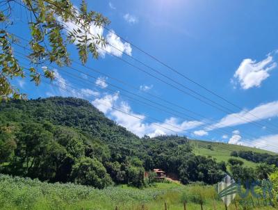 Terreno para Venda, em Miguel Pereira, bairro Sertozinho