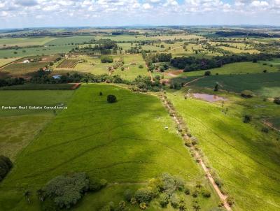 Fazenda para Venda, em Quadra, bairro Zona Rural, 4 dormitrios, 3 banheiros, 10 vagas