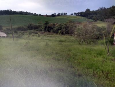 Terreno para Venda, em Toledo, bairro Formigas