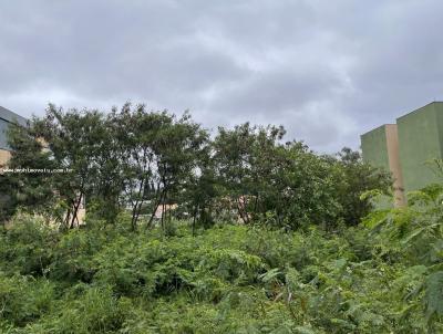 Terreno para Venda, em So Paulo, bairro Santo Amaro