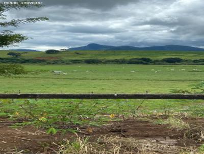 Fazenda para Venda, em Itajub, bairro Boa Vista