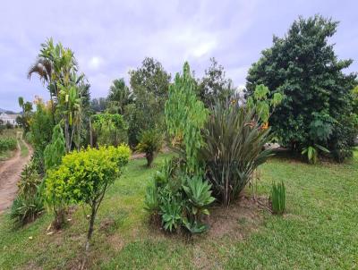 rea Rural para Venda, em Camaqu, bairro Chcara Velha