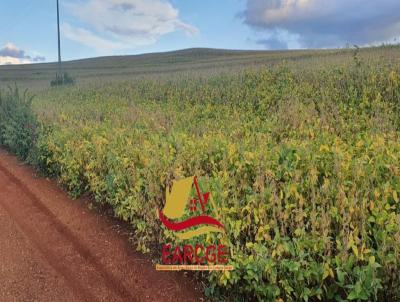 Fazenda para Venda, em Londrina, bairro solicite KMZ