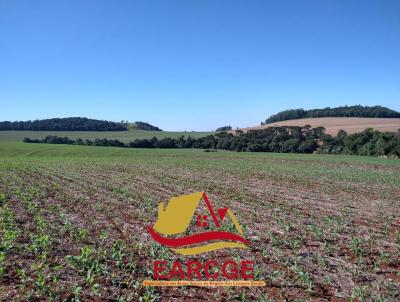 Fazenda para Venda, em Cascavel, bairro solicite KMZ