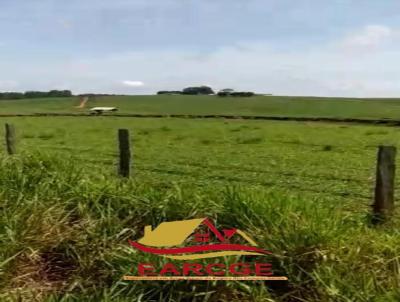 Fazenda para Venda, em Cafezal do Sul, bairro solicite KMZ