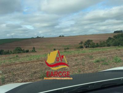 Fazenda para Venda, em Vera Cruz do Oeste, bairro solicite KMZ