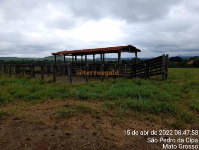 Fazenda para Venda, em So Pedro da Cipa, bairro Zona rural