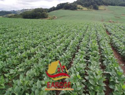 Fazenda para Venda, em Apucarana, bairro .