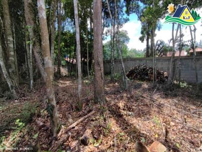 Terreno para Venda, em Ibina, bairro Centro