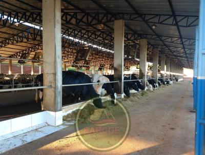 Fazenda para Venda, em Laranjeiras do Sul, bairro .