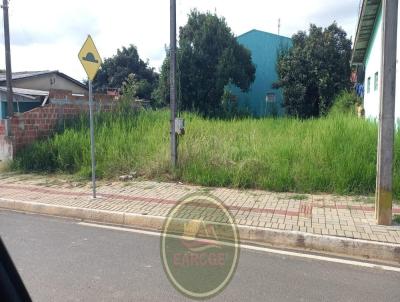 Lote para Venda, em Ipiranga, bairro Centro