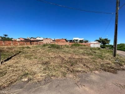 Lote para Venda, em Goinia, bairro Parque Balnerio