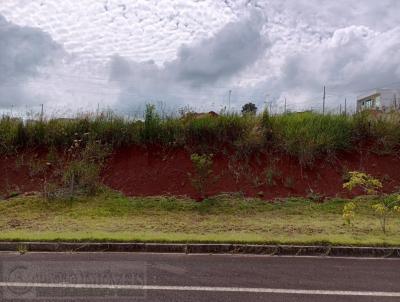 Terreno para Venda, em Pato Branco, bairro Cadorin