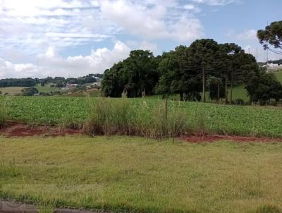 Terreno para Venda, em Pato Branco, bairro Cadorin